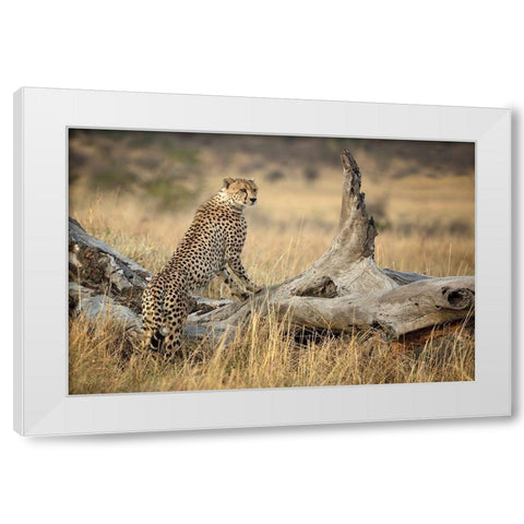 Strong White Modern Wood Framed Art Print by Doyle, Renee