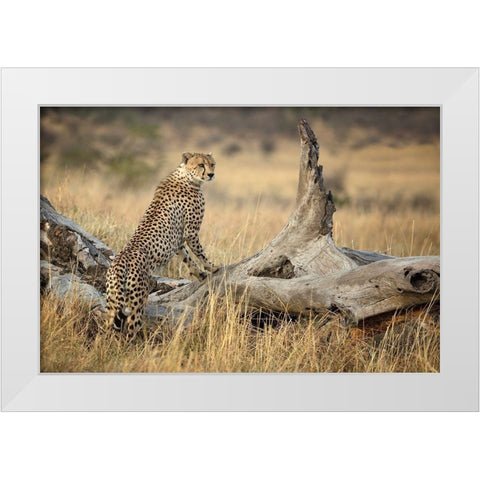 Strong White Modern Wood Framed Art Print by Doyle, Renee