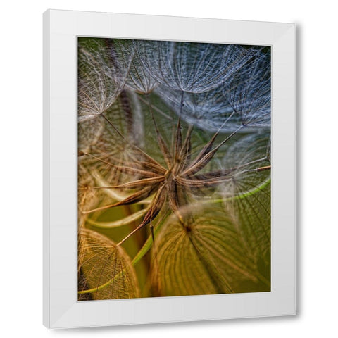 Inside White Modern Wood Framed Art Print by Mathiesen, Kent