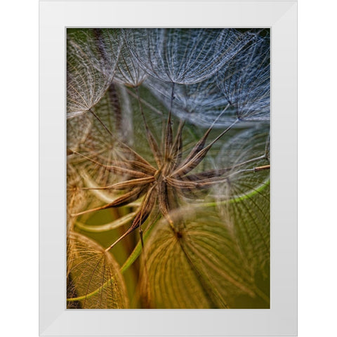 Inside White Modern Wood Framed Art Print by Mathiesen, Kent