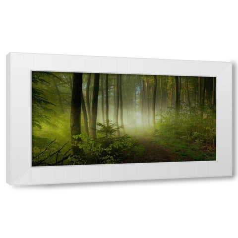 Early Fall White Modern Wood Framed Art Print by Maier, Norbert