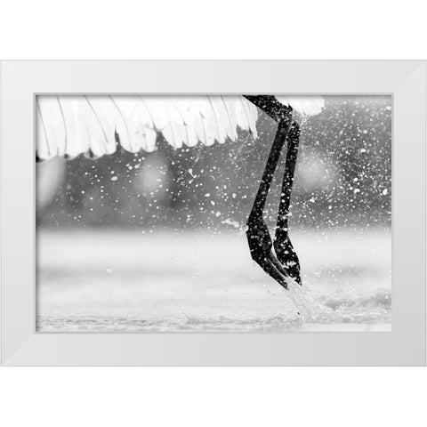 Taking Off White Modern Wood Framed Art Print by Zuo, Jun