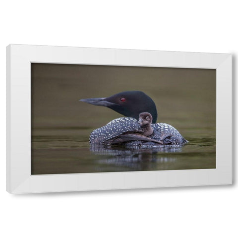 Back Seat White Modern Wood Framed Art Print by Barsh, Greg