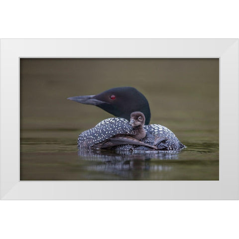 Back Seat White Modern Wood Framed Art Print by Barsh, Greg