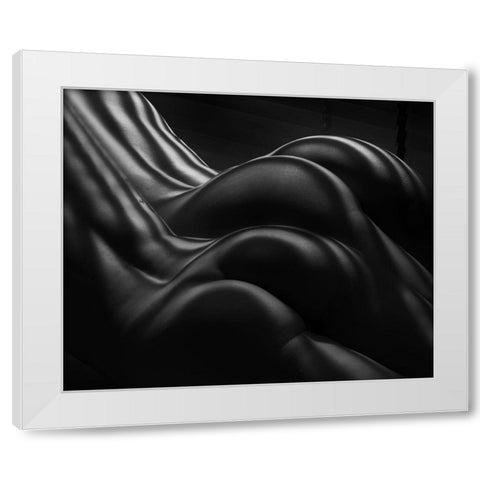 Female Zebra Stripes White Modern Wood Framed Art Print by Dixon, Colin