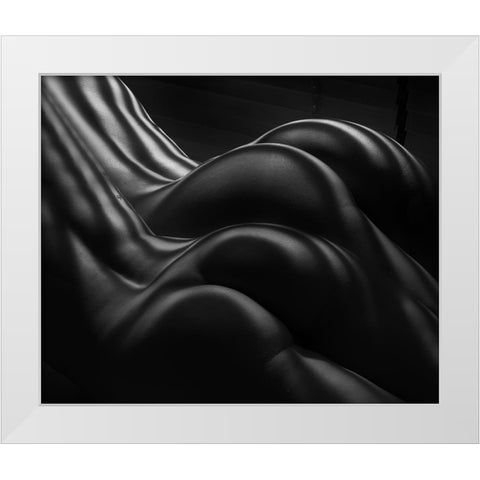 Female Zebra Stripes White Modern Wood Framed Art Print by Dixon, Colin