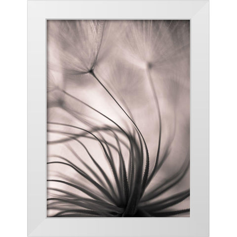 Untitled White Modern Wood Framed Art Print by Or, Keren