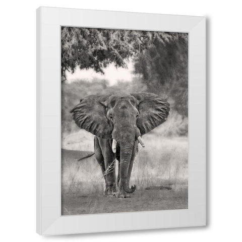 Coming ... White Modern Wood Framed Art Print by Catta, Alessandro