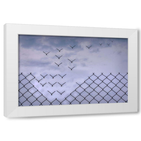 Donaat Fence Me In! White Modern Wood Framed Art Print by Emanuelson, Bjorn
