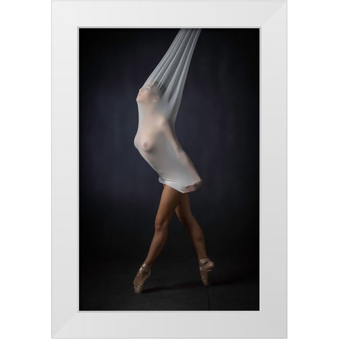 Sheer Stretch White Modern Wood Framed Art Print by Catchlight Studio
