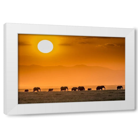 Sunrise Over Amboseli White Modern Wood Framed Art Print by C. Sink, Jeffrey