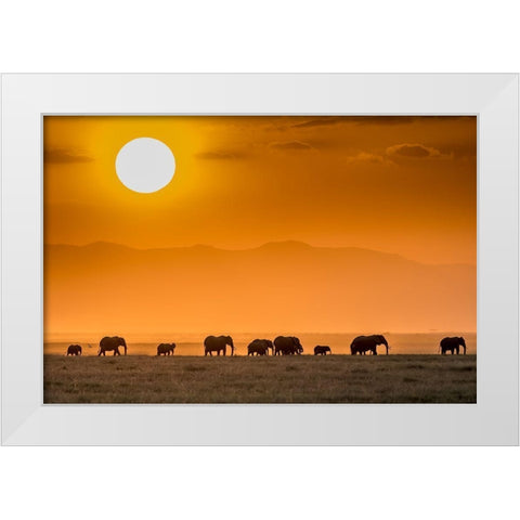 Sunrise Over Amboseli White Modern Wood Framed Art Print by C. Sink, Jeffrey
