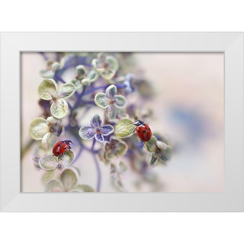Fragile White Modern Wood Framed Art Print by Van Deelen, Ellen