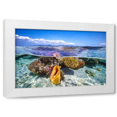Lagoon Life White Modern Wood Framed Art Print by Gabriel, Barathieu