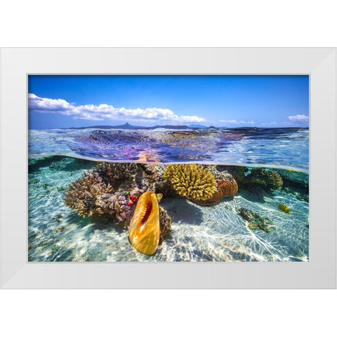 Lagoon Life White Modern Wood Framed Art Print by Gabriel, Barathieu