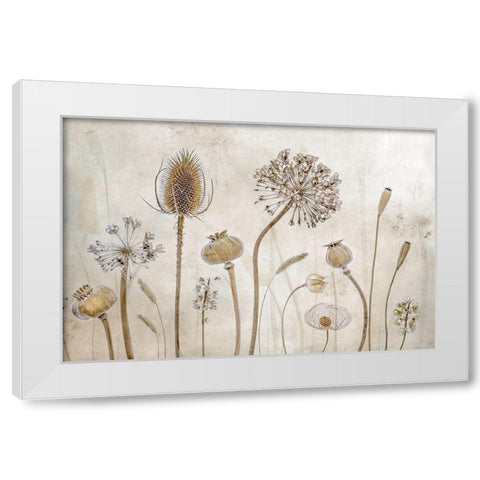 Growing Old White Modern Wood Framed Art Print by Disher, Mandy