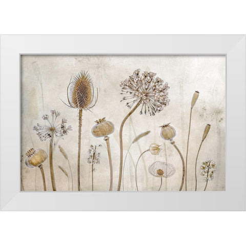 Growing Old White Modern Wood Framed Art Print by Disher, Mandy