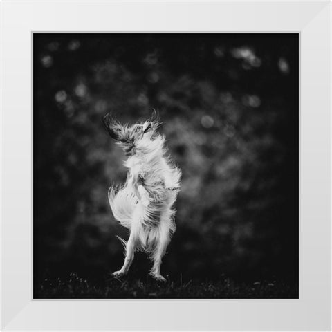 ...Joyfulness... White Modern Wood Framed Art Print by Gerec, Pali