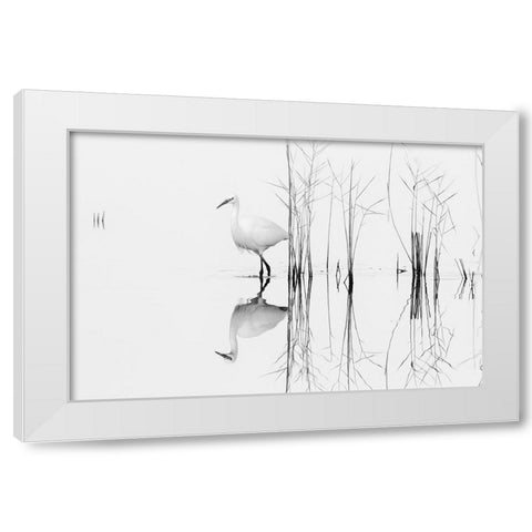 White White Modern Wood Framed Art Print by Planinski, Zhecho