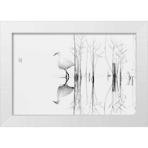 White White Modern Wood Framed Art Print by Planinski, Zhecho