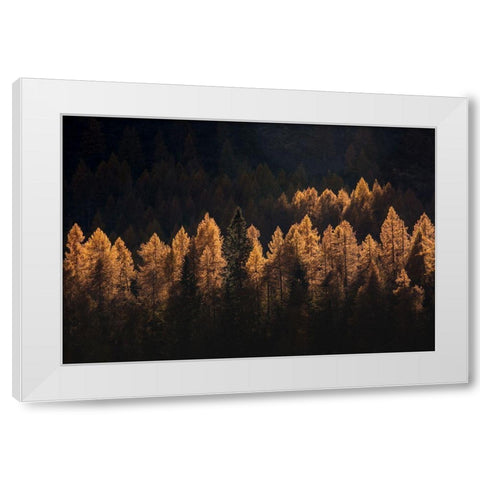 Light For A Few White Modern Wood Framed Art Print by Manzoni, Michel