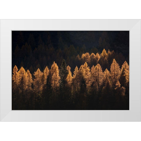 Light For A Few White Modern Wood Framed Art Print by Manzoni, Michel
