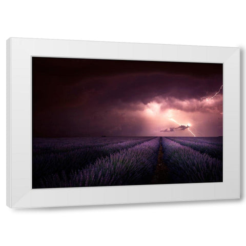 Lavender Fragrance White Modern Wood Framed Art Print by Schumacher, Nicolas