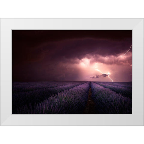 Lavender Fragrance White Modern Wood Framed Art Print by Schumacher, Nicolas
