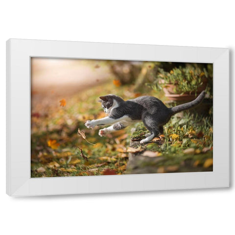 Autumn Play White Modern Wood Framed Art Print by Dejana