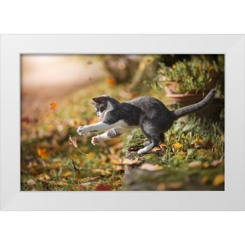 Autumn Play White Modern Wood Framed Art Print by Dejana