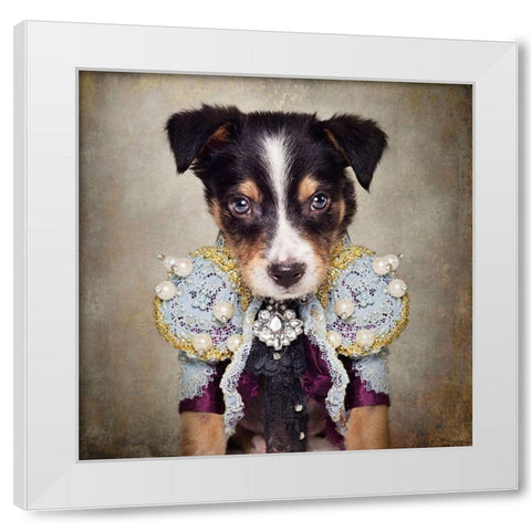 Shelter Pets Project - Loki White Modern Wood Framed Art Print by Swarek, Tammy