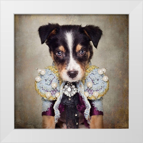 Shelter Pets Project - Loki White Modern Wood Framed Art Print by Swarek, Tammy