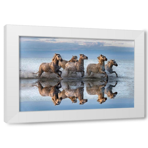 Horses And Reflection White Modern Wood Framed Art Print by Ortega, Xavier