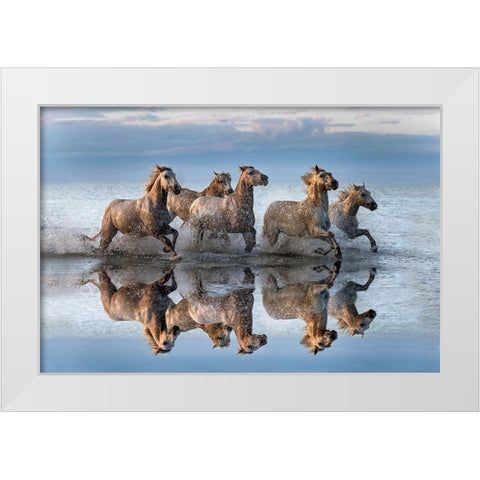 Horses And Reflection White Modern Wood Framed Art Print by Ortega, Xavier