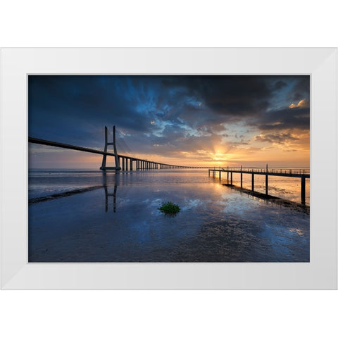 P H Y S I C A L White Modern Wood Framed Art Print by Resende, Carlos