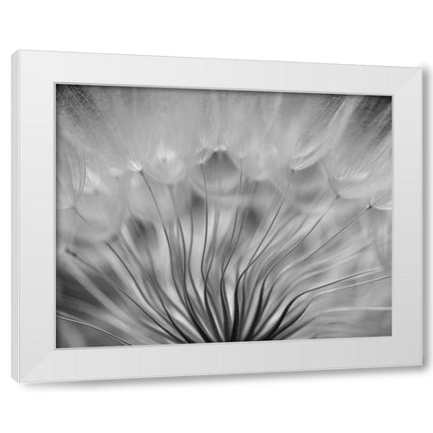 Dream White Modern Wood Framed Art Print by Or, Keren