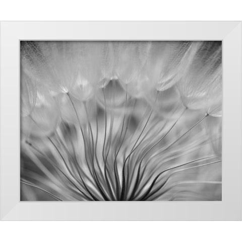 Dream White Modern Wood Framed Art Print by Or, Keren