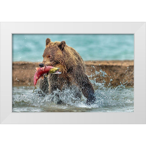 Fishing - Kamchatka-Russia White Modern Wood Framed Art Print by Damico, Giuseppe