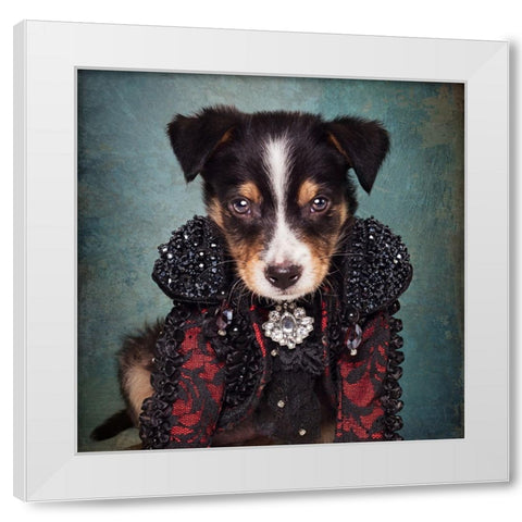 Shelter Pets Project - Loki White Modern Wood Framed Art Print by Swarek, Tammy