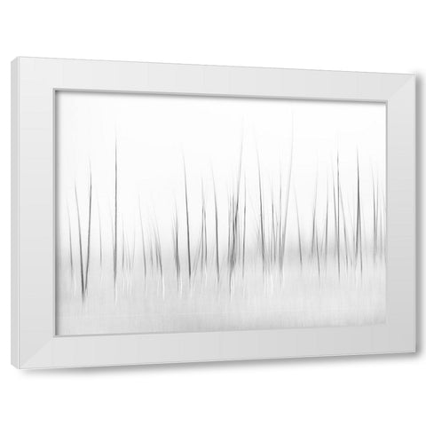 Wintry Scenery In Yellowstone White Modern Wood Framed Art Print by Lai, Charles