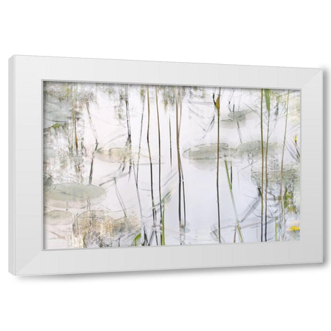 Lily Leaves White Modern Wood Framed Art Print by Talen, Nel
