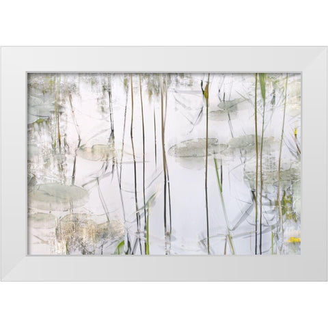 Lily Leaves White Modern Wood Framed Art Print by Talen, Nel
