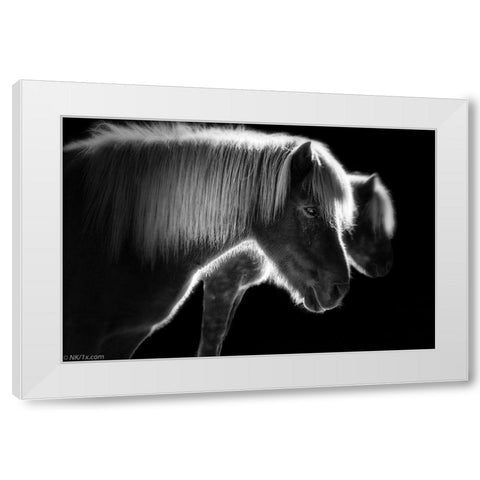 Two Beautiful Horses White Modern Wood Framed Art Print by Keller, Nic