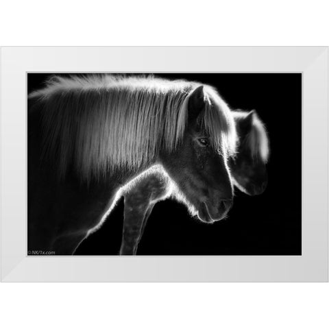 Two Beautiful Horses White Modern Wood Framed Art Print by Keller, Nic