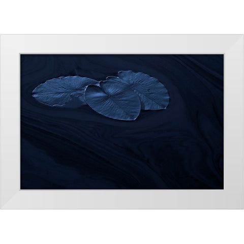 Leaf White Modern Wood Framed Art Print by Wallberg, Allan