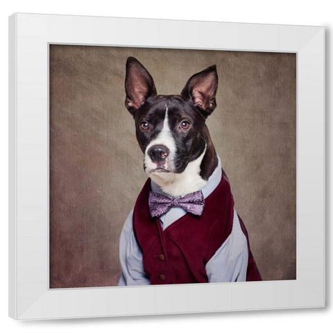 Shelter Pets Project - Petey White Modern Wood Framed Art Print by Swarek, Tammy