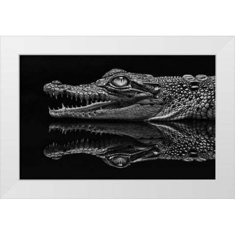 Dark Mirror White Modern Wood Framed Art Print by Haryanto, Jeffriy