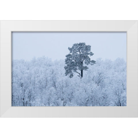 First Snow White Modern Wood Framed Art Print by Kharitonov, Alexey