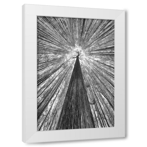 The Giant White Modern Wood Framed Art Print by Casanova, Francois
