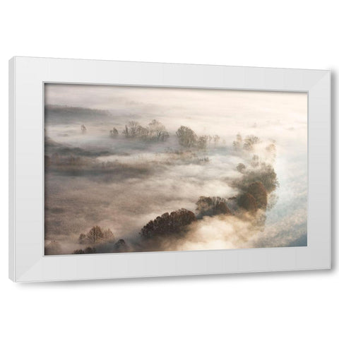 Trees In The Fog White Modern Wood Framed Art Print by Galimberti, Marco